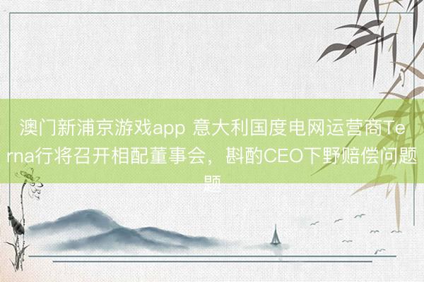 澳门新浦京游戏app 意大利国度电网运营商Terna行将召开相配董事会，斟酌CEO下野赔偿问题